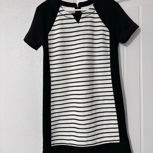 Lou & Grey Black and White Striped Knit Mini Dress
